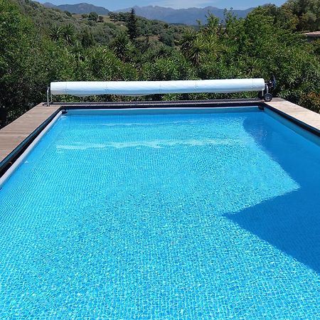 L'Amandier -Le Figuier-Les Lauriers Roses Ajaccio  Bagian luar foto