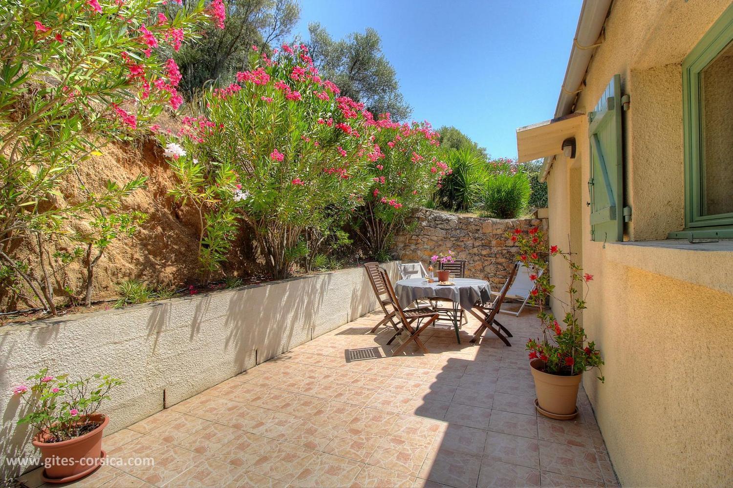L'Amandier -Le Figuier-Les Lauriers Roses Ajaccio  Bagian luar foto