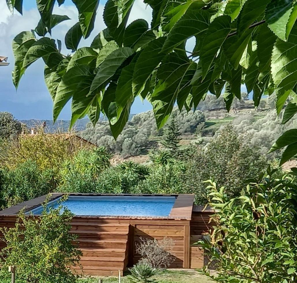 L'Amandier -Le Figuier-Les Lauriers Roses Ajaccio  Bagian luar foto