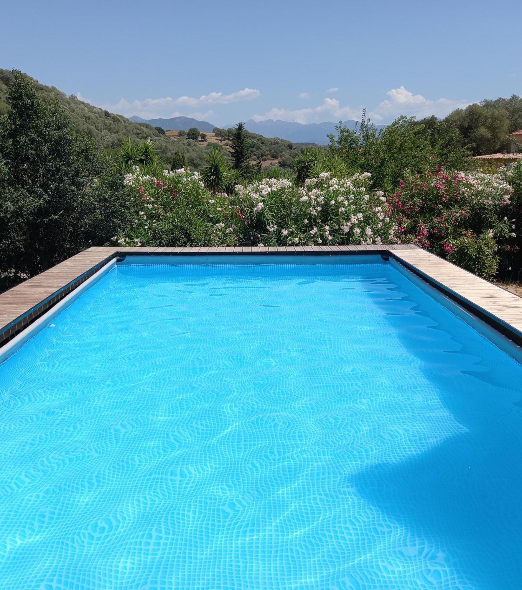 L'Amandier -Le Figuier-Les Lauriers Roses Ajaccio  Bagian luar foto