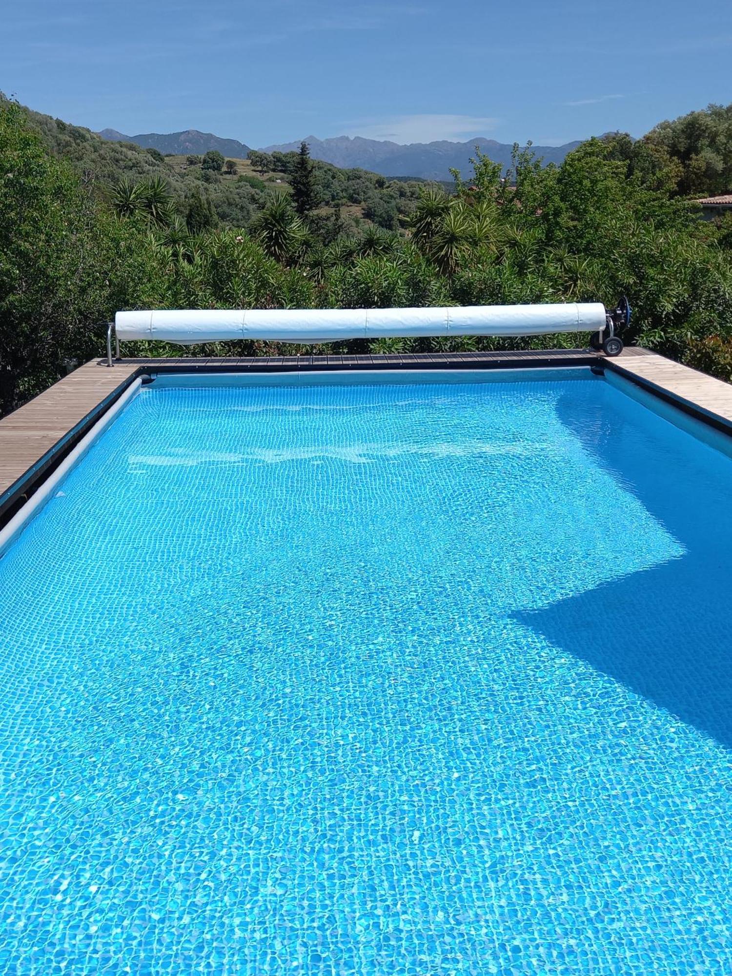 L'Amandier -Le Figuier-Les Lauriers Roses Ajaccio  Bagian luar foto